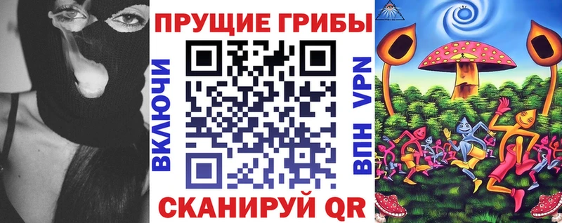 Псилоцибиновые грибы Magic Shrooms  Лахденпохья 